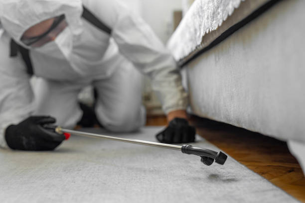 Professional Bed Bug Control technician working in West Allis, WI