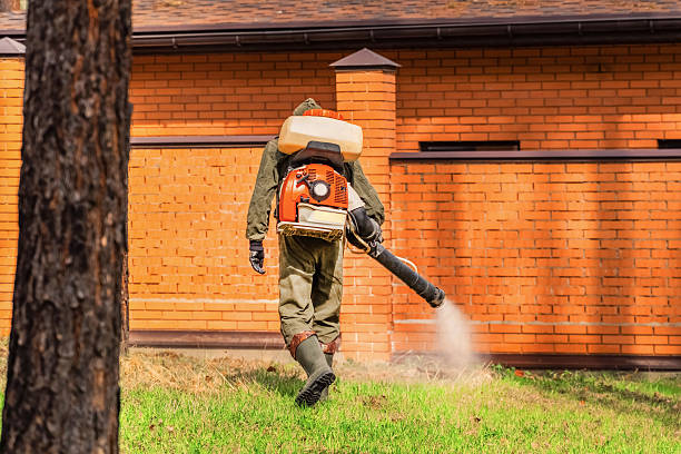 Trusted Bed Bug Control service in West Allis, WI - Nex Pest Control